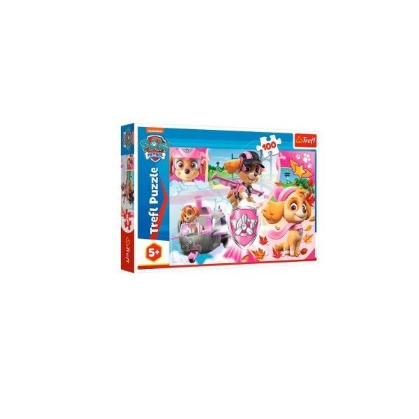 Paw Patrol Puzzle 100 Pcs