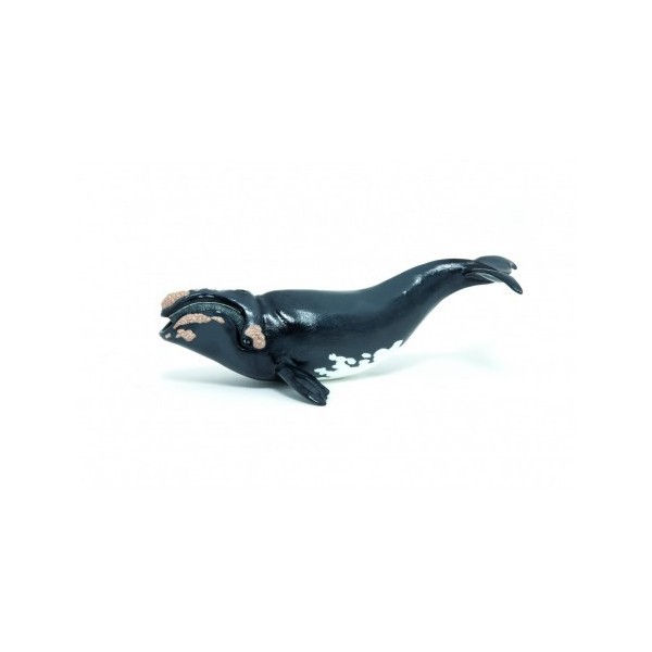 Ballena Boreal - Figura Papo