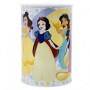 Hucha Metalica Disney Princess True