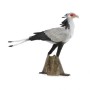 Pajaro Secretario - L - 88796 - Collecta