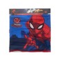 Spiderman Braga De Cuello