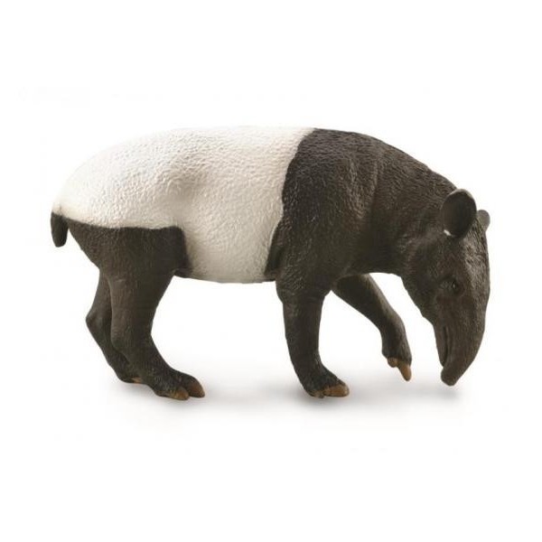 Tapir Malayo - L - 88881 - Collecta