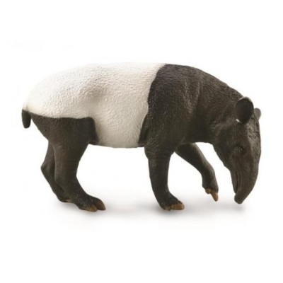 Tapir Malayo - L - 88881 - Collecta