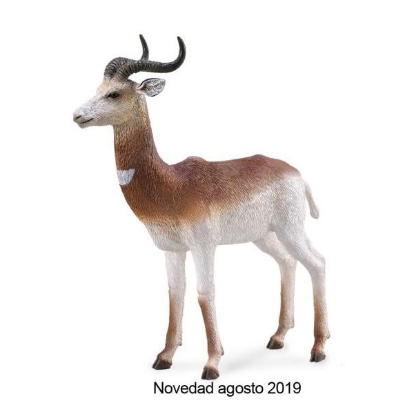 GACELA DAMA - L - 88865 - COLLECTA