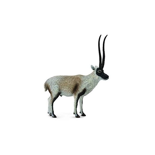 Chiru - Antilope Tibetano -L- 88721 Collecta