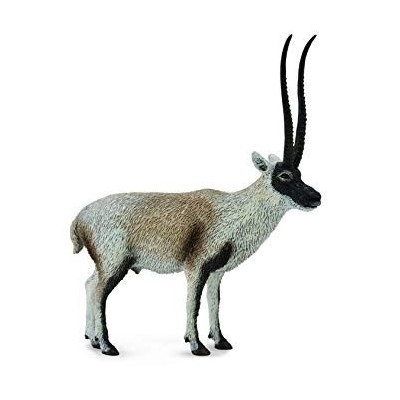 Chiru - Antilope Tibetano -L- 88721 Collecta