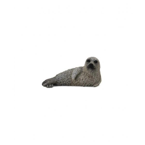 CRIA DE FOCA MANCHADA - COLLECTA