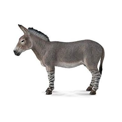 Asno Africano -L- 88664 Collecta