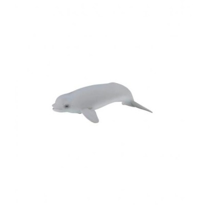 CRIA DE BELUGA - COLLECTA