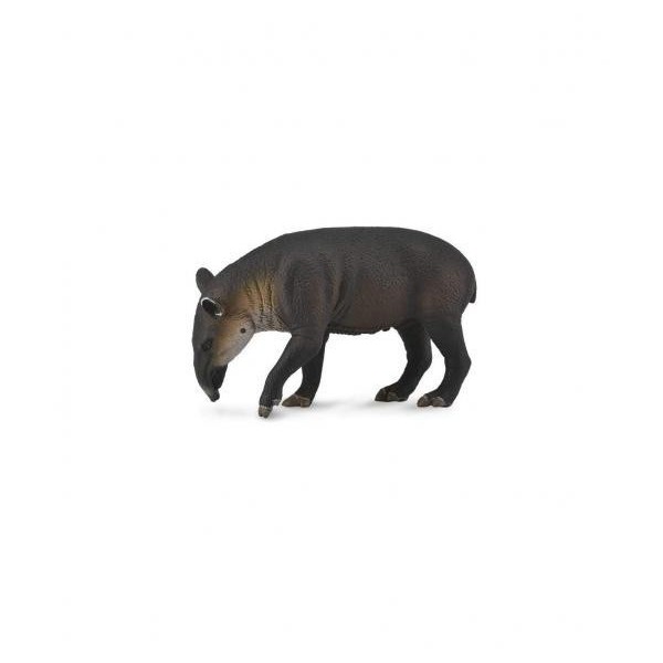 Tapir Centroamericano -L- 88596 Collecta