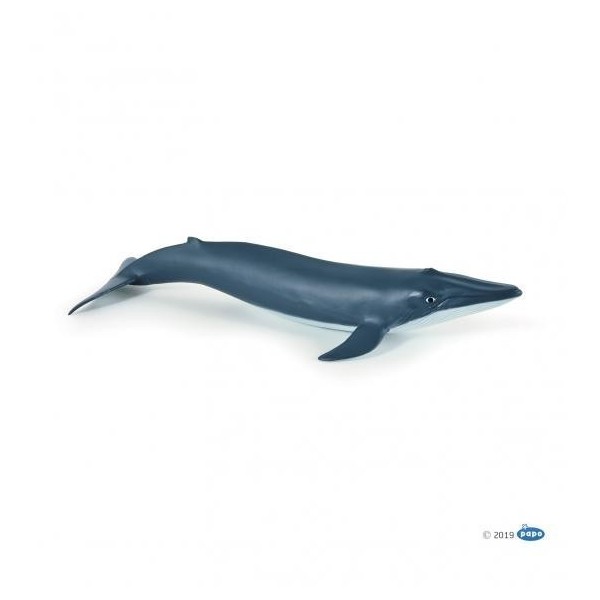 Figura Bebe Ballena Azul ( Papo ) 56041/20.00 Cm X 9.50 Cm X 3.50 Cm