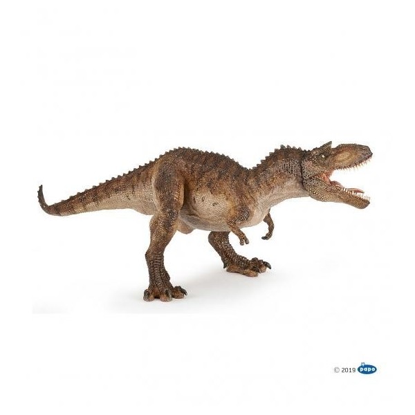Gorgosaurus