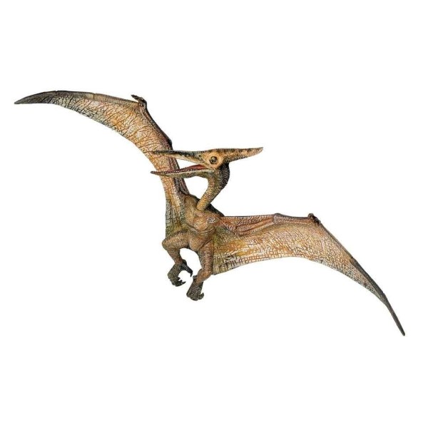 FIGURA PTERANODON ( PAPO ) 55006/7cm