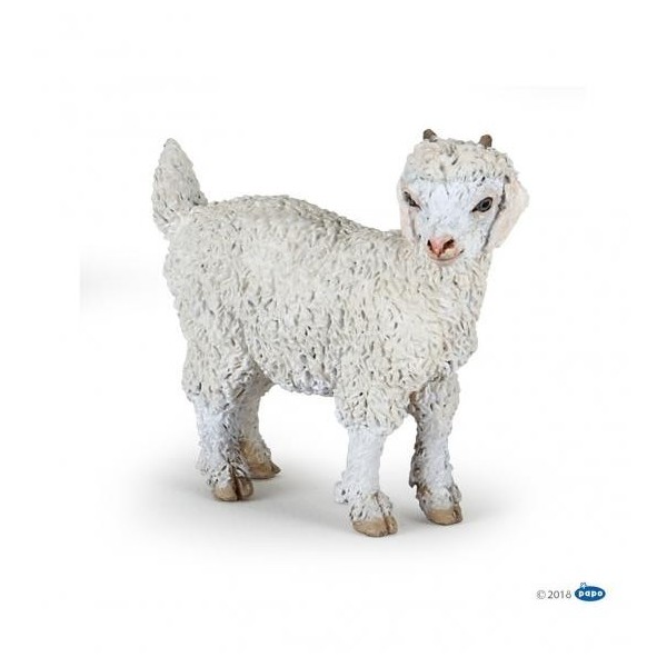Cabra De Angora Joven - Papo
