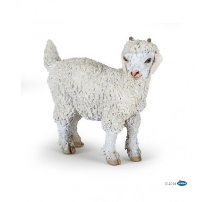 Cabra De Angora Joven - Papo