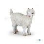 Cabra De Angora Joven - Papo
