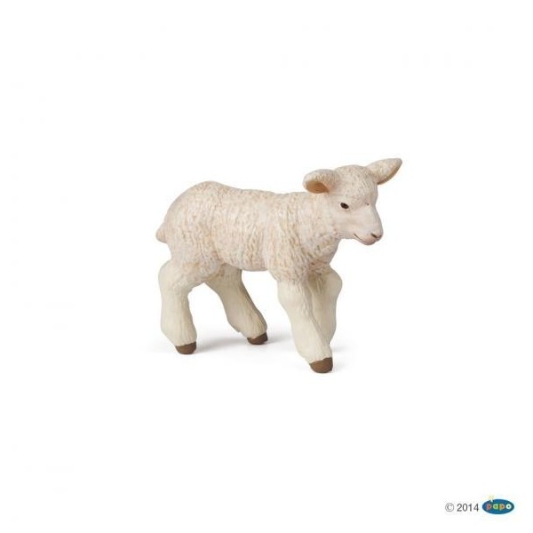 Cordero Merinos Papo