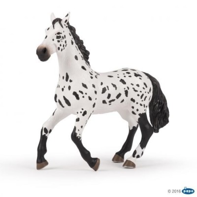 Gran Caballo Appaloosa Papo
