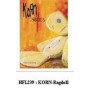 Korn Ragdoll - Bandera Tel Hfl239