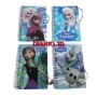 Mini Diario 3D Con Pulsera Frozen