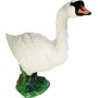 Cisne