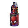Spiderman Cubilete Regalo