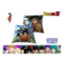 Cojin 35*35Cm Dragon Ball 003 8436580112017