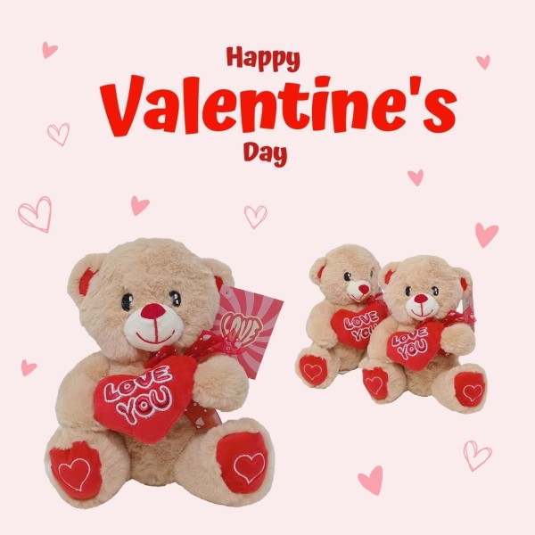 Oso Peluche Con Corazon 2Modelo 24Cm