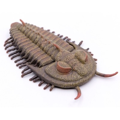 TRILOBITA- L - 88906 - COLLECTA