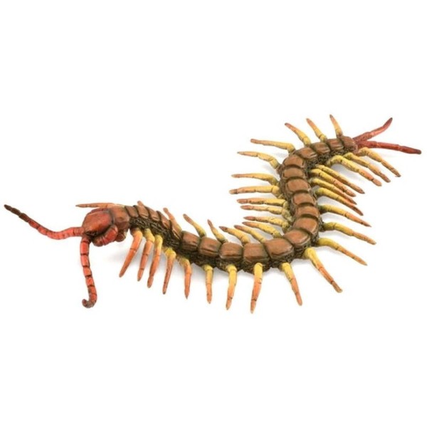 CIENPIES - L - 88885 - COLLECTA