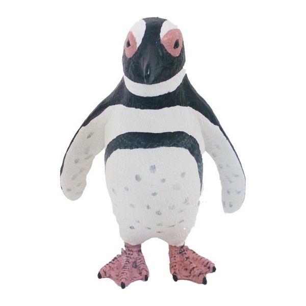 PINGUINO DE MAGALLANES