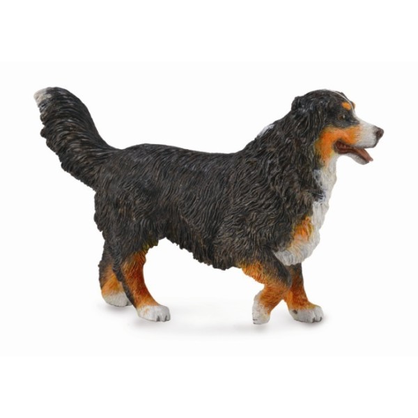 Perro Bernese De La Montaña  - L - 88801 -Collecta
