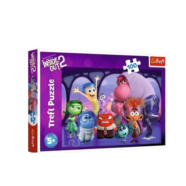 Inside Out Puzzle 100Pcs