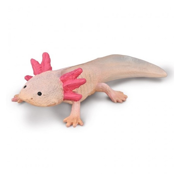 Ajolote - M - 80015 - Collecta