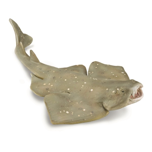 Tiburón Angel -M-88999 - Collecta