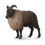 Tahr Del Himalaya - L - 88758 - Collecta