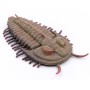 TRILOBITA- L - 88906 - COLLECTA