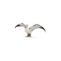 Albatros Errante - L - 88765 - Collecta