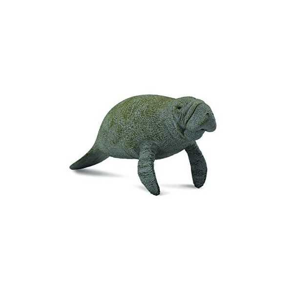 MANATI -L- 88455 COLLECTA