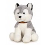 Husky Peluche 30Cm