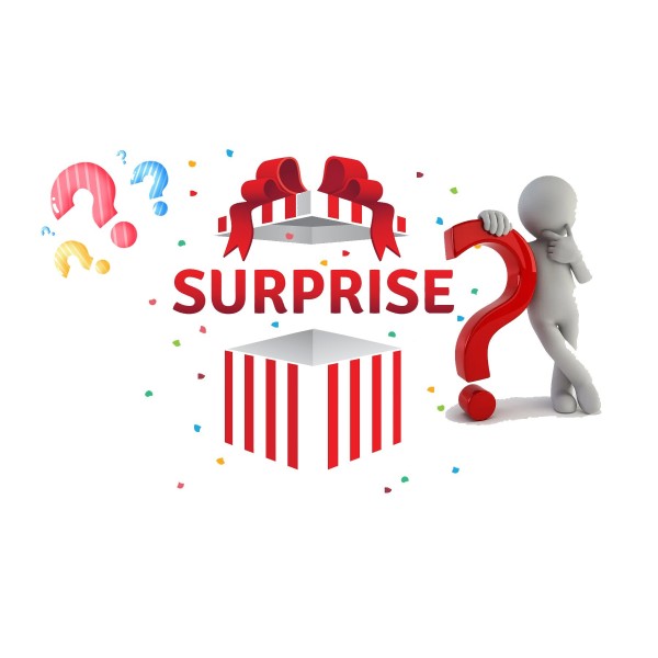 Pack 12 Portado Sorpresa