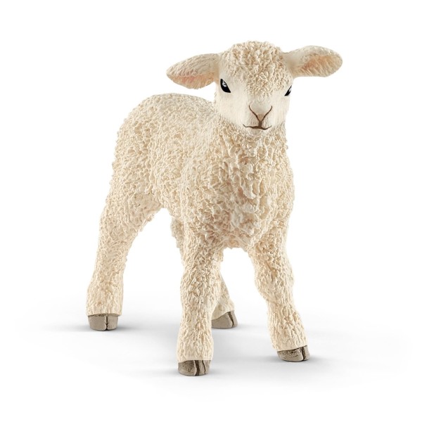 Schleich 17069 Cordero 5 X 2 X 5 Cm