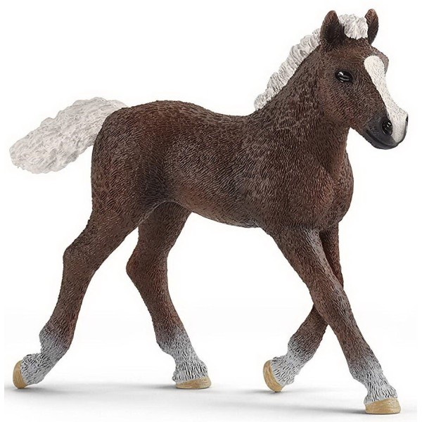 Schleich 13899 / 17077 - Potro De La Selva Negra