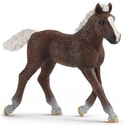 Schleich 13899 / 17077 - Potro De La Selva Negra