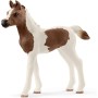 Schleich - Potro Pinto Árabe (13839)