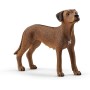 Schleich - Rhodesian Ridgeback (13895)
