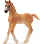 Schleich 13984 Potro Árabe, A Partir De 5 Años, Horse Club - Figura, 2 X 8 X 8 Cm