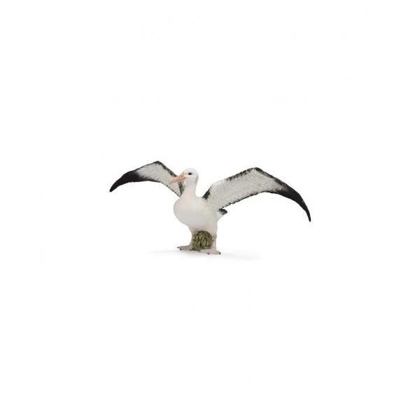Albatros Errante - L - 88765 - Collecta