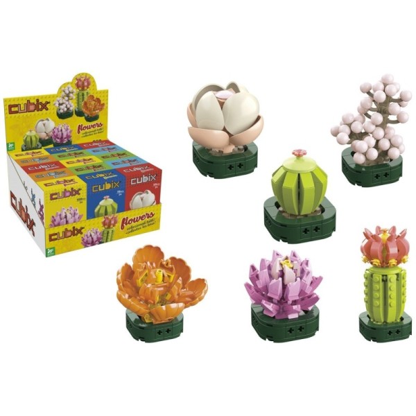 Cubix Piante Grasse 6 Ass 15Pz D/Box