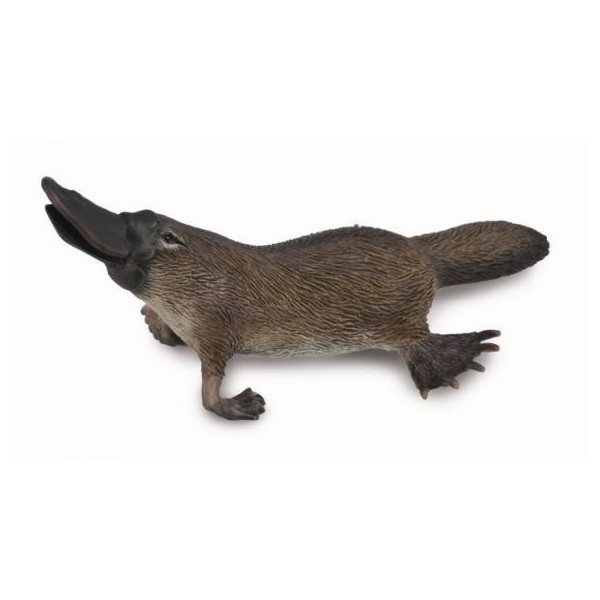 Ornitorrinco - M - 88795 - Collecta